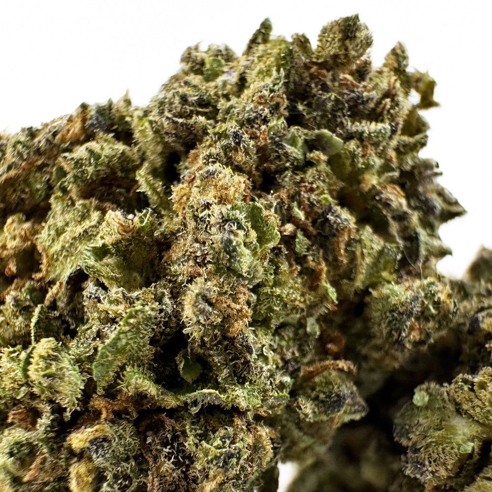 Blueberry Muffin #B2 CBD - Indoor