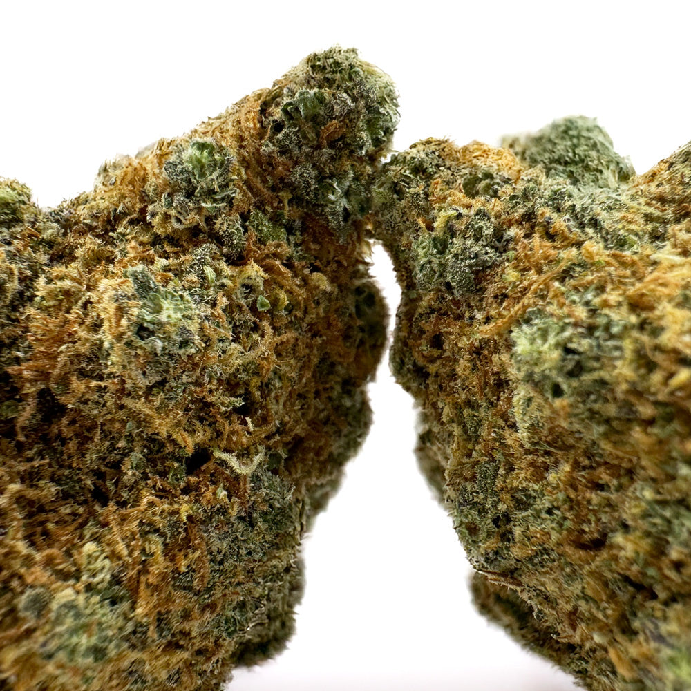 Cali Muffin - Hydroponique Cali