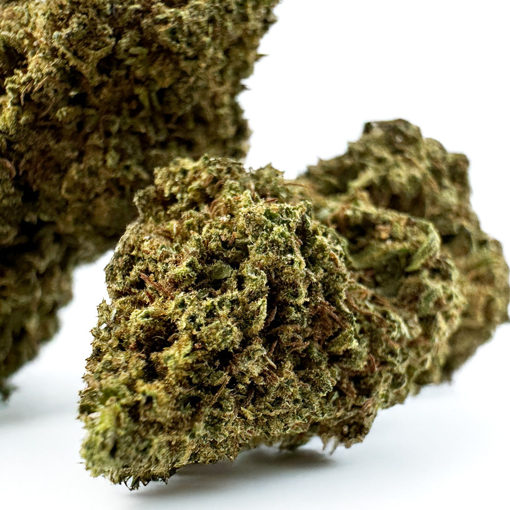 Candy Melon - Glasshouse