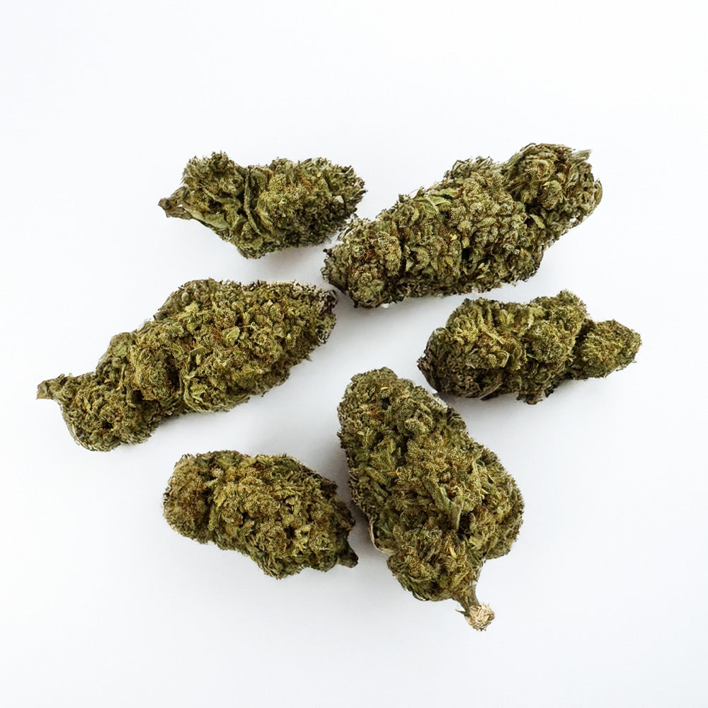 Citrus OG - Indoor