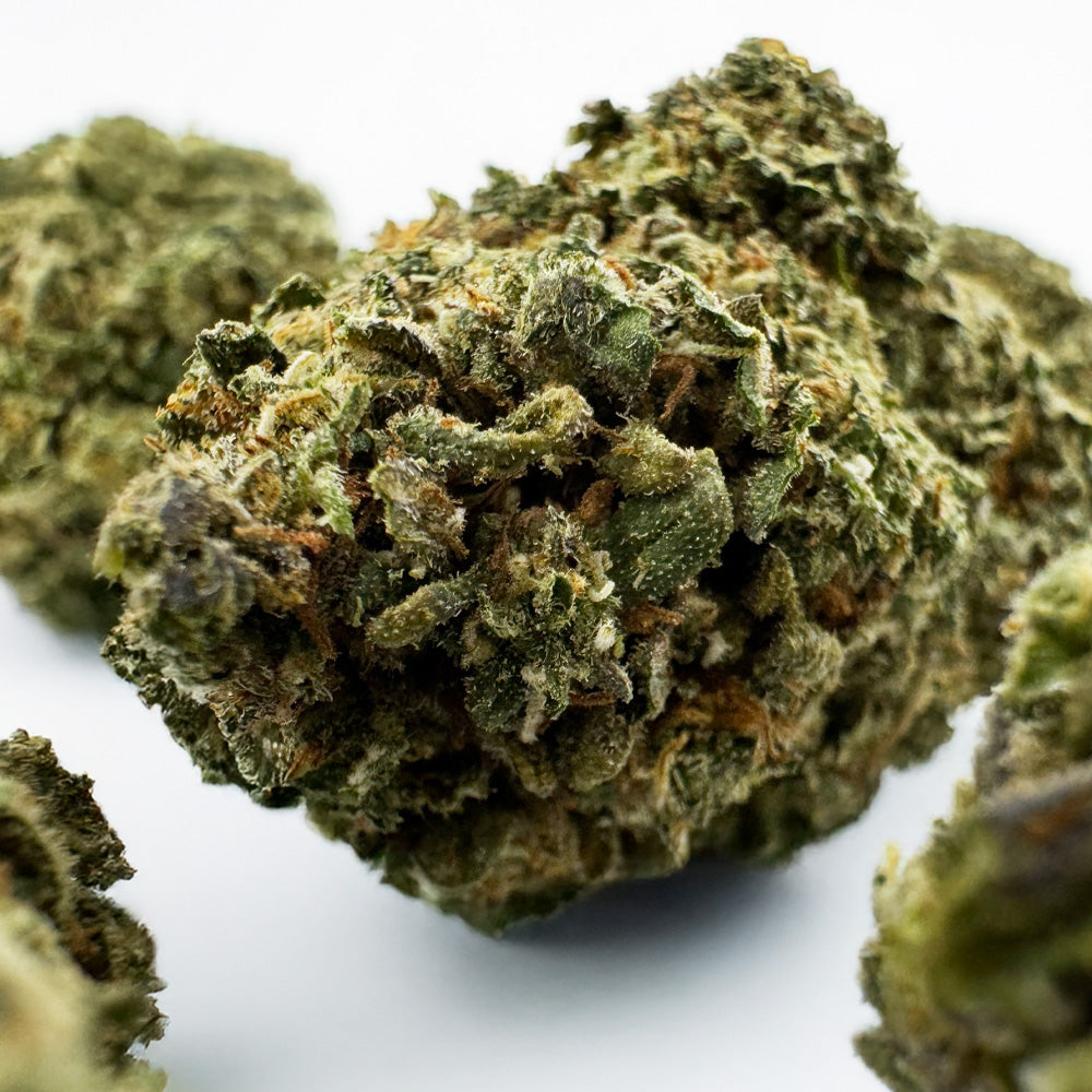 Cookies Cake - Indoor