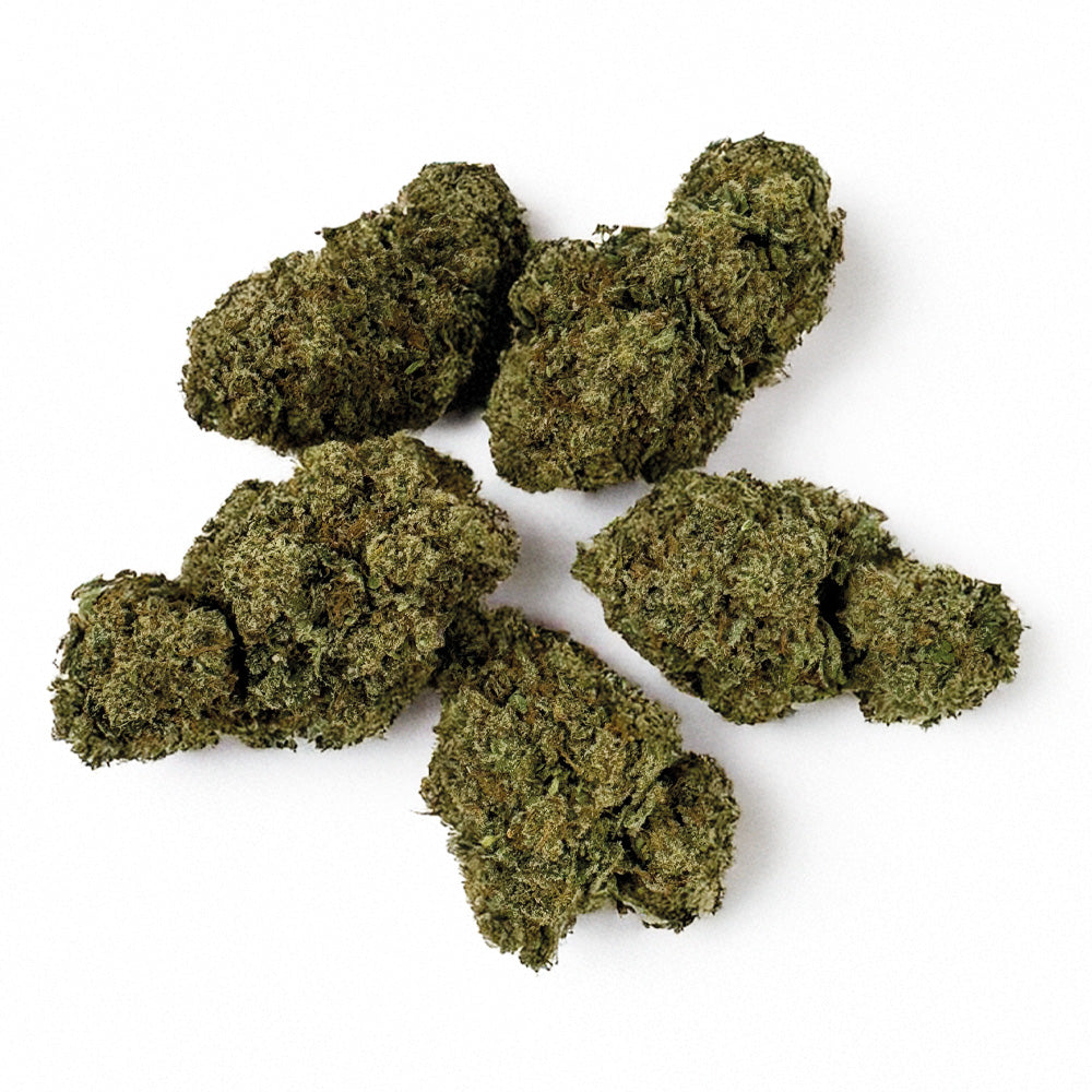 Guava Kush CBD - Indoor