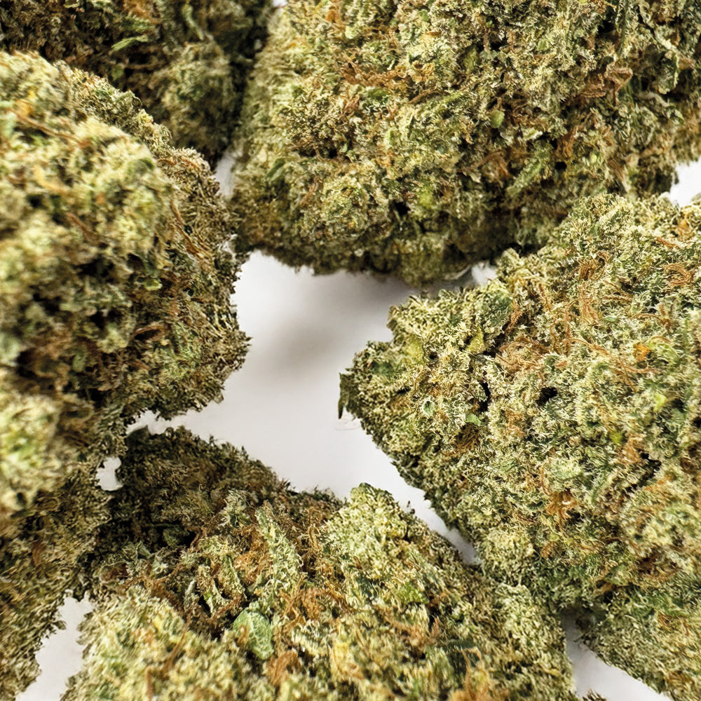 Guava Kush CBD - Indoor