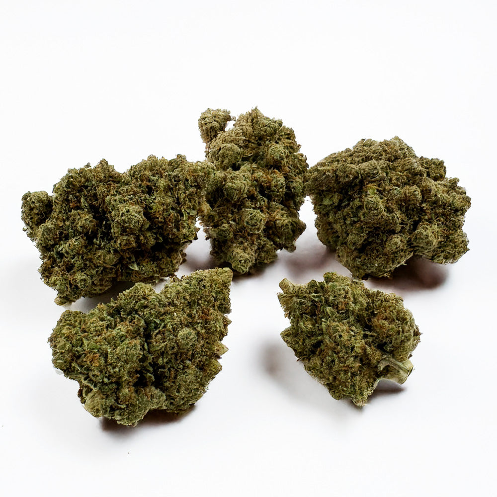 Lemon Haze HT CBD - Indoor