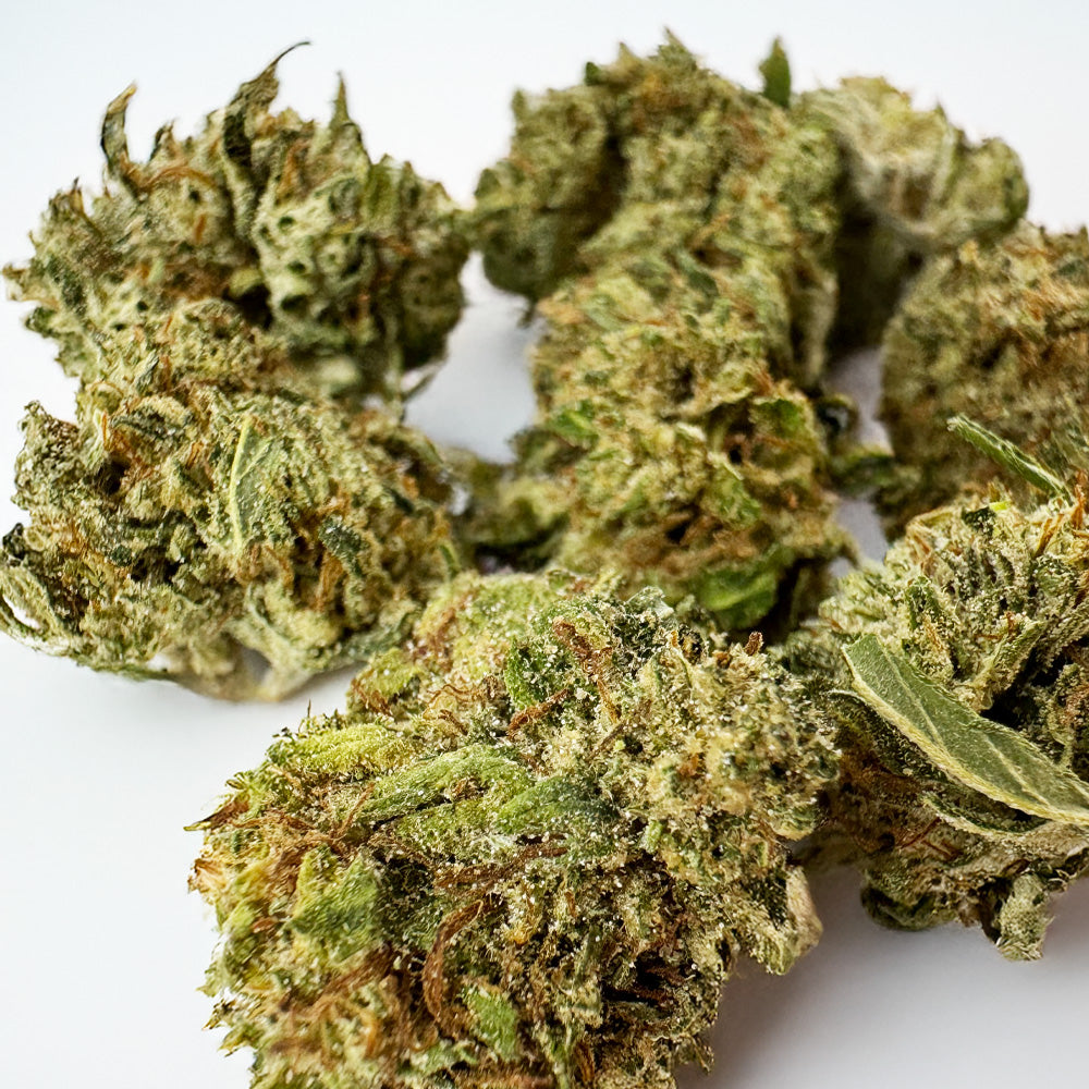 Small buds Lemon OG - Hybride