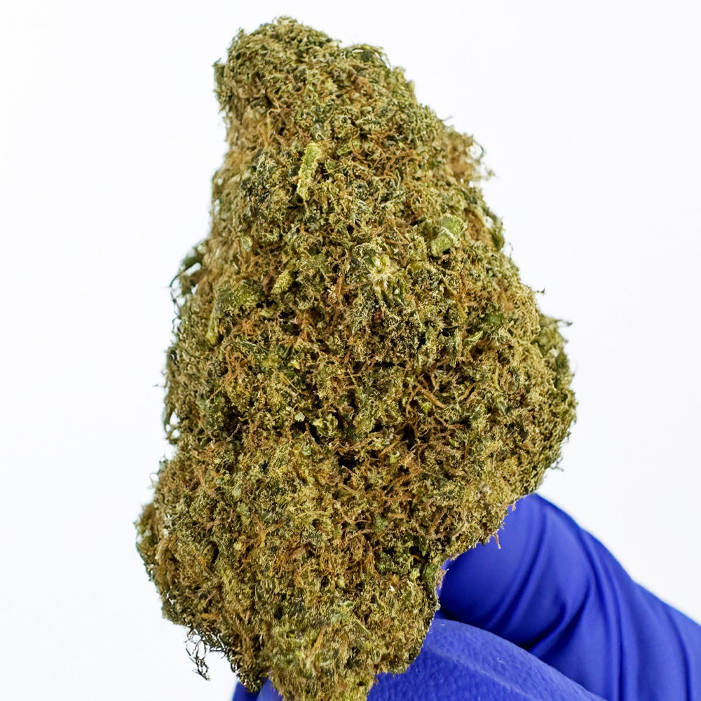 MAC CBD - Hydroponique Cali