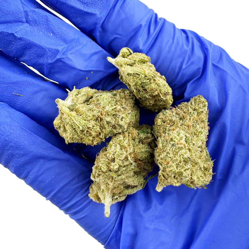 Medium buds Gushers V+ - Indoor — photo 4
