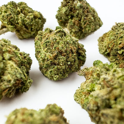 Small buds Blueberry Muffin #B2 - Indoor