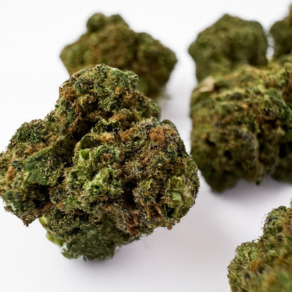 Small buds Blueberry Muffin #B2 - Indoor