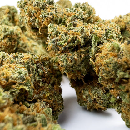 Blueberry Muffin CBD - Indoor