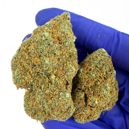 Cali Muffin - Hydroponique Cali