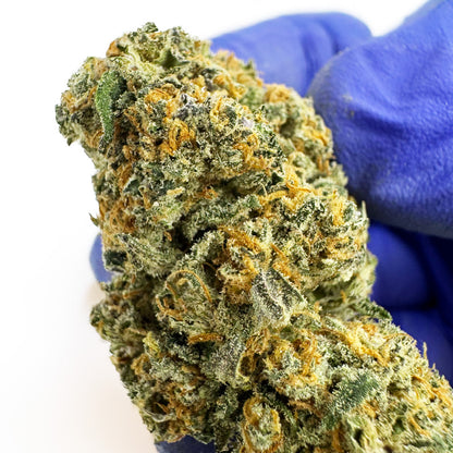 Cherry Pie CBD - Indoor