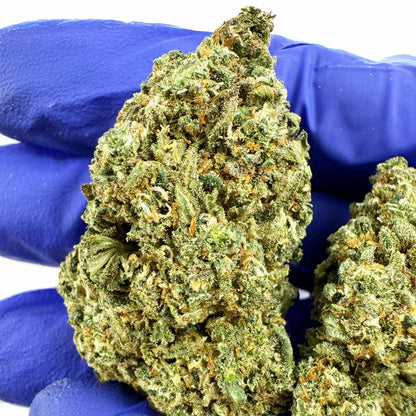 Cookies Cake - Indoor