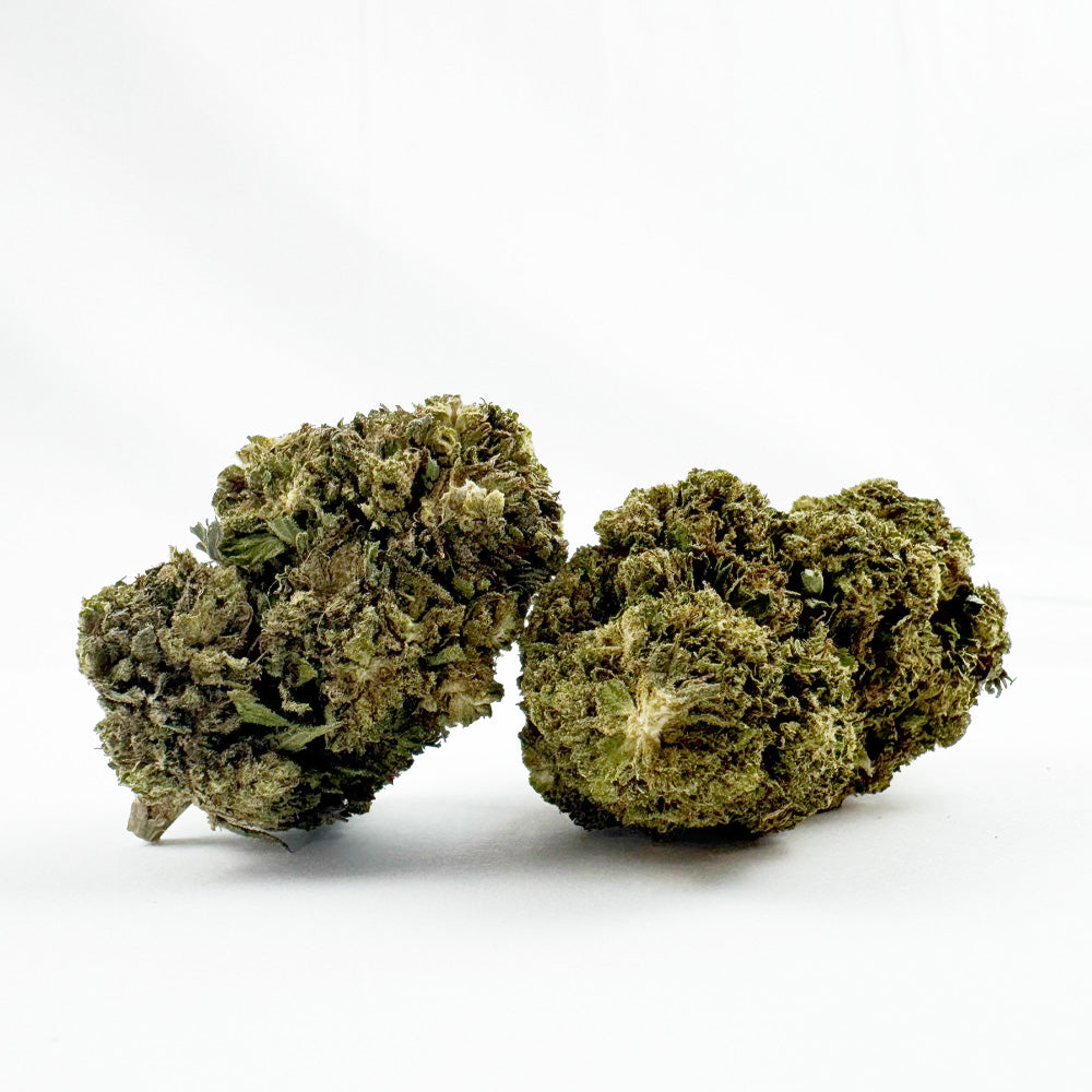 Critical - Hybride USA — photo 1
