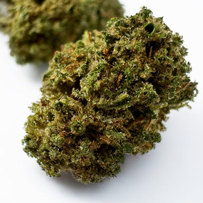 Small buds Fanta - Hybride