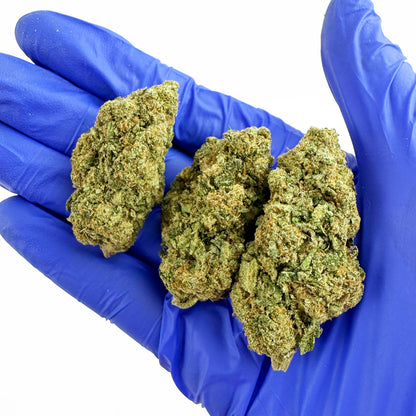 Gold Bar Kush - Indoor — photo 5