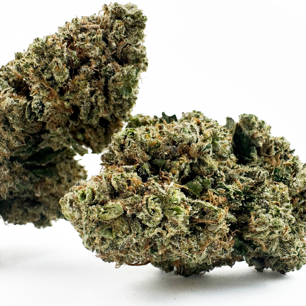 Guava Kush CBD - Indoor — photo 2