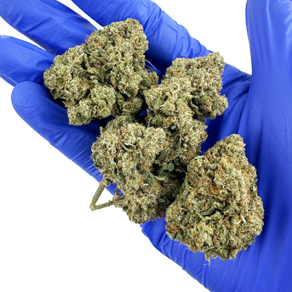 Guava Kush CBD - Indoor — photo 6