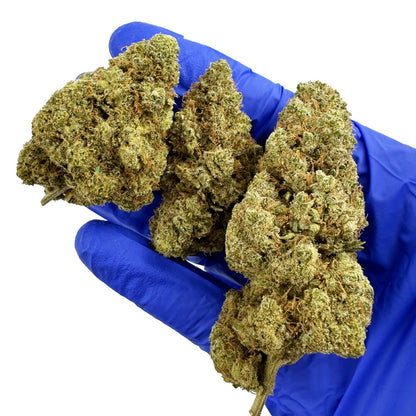 Gushers CBD - Indoor — photo 6