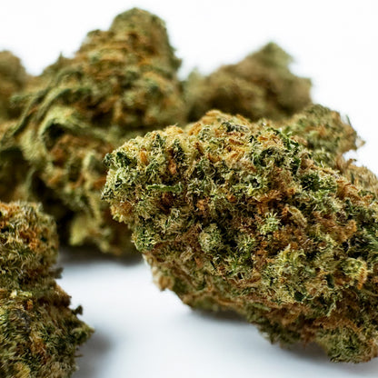 Small buds HQ Limo - Indoor