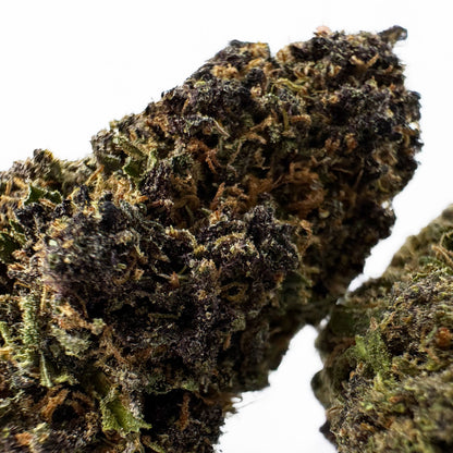 Legendary Platinium - Hybride USA