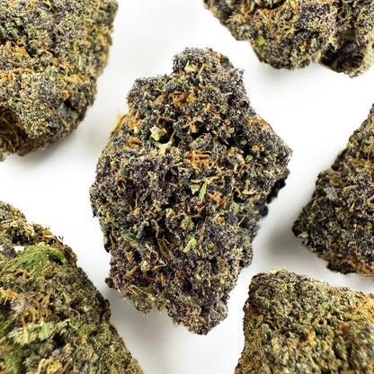 Legendary Platinium - Hybride USA