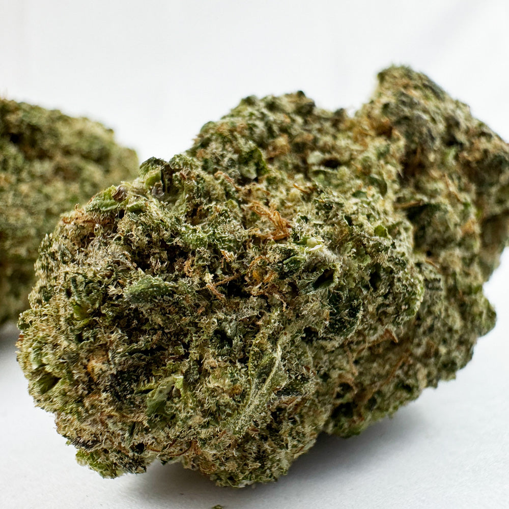 Malabar CBD - Indoor