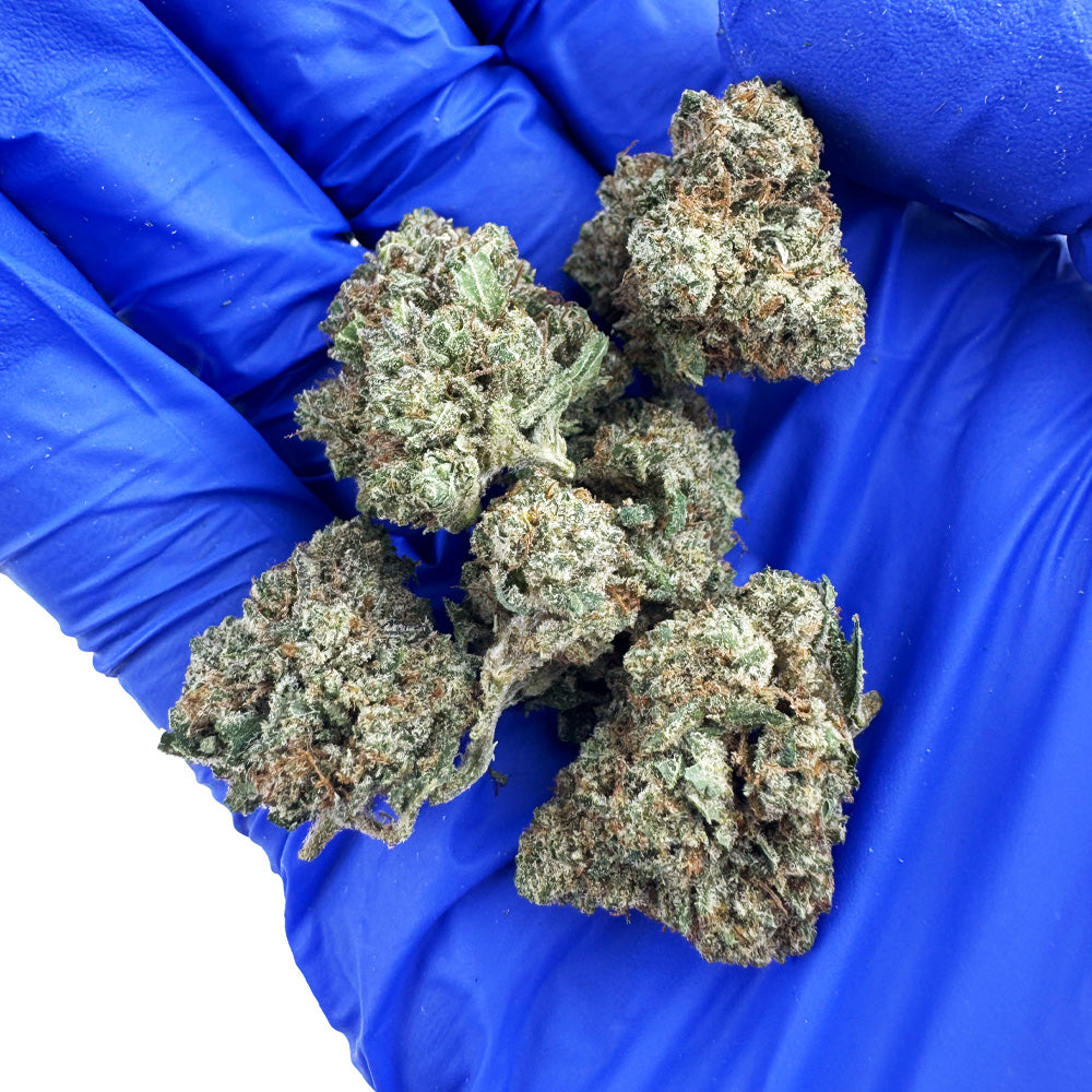 Medium buds Guava Kush - Indoor — photo 4