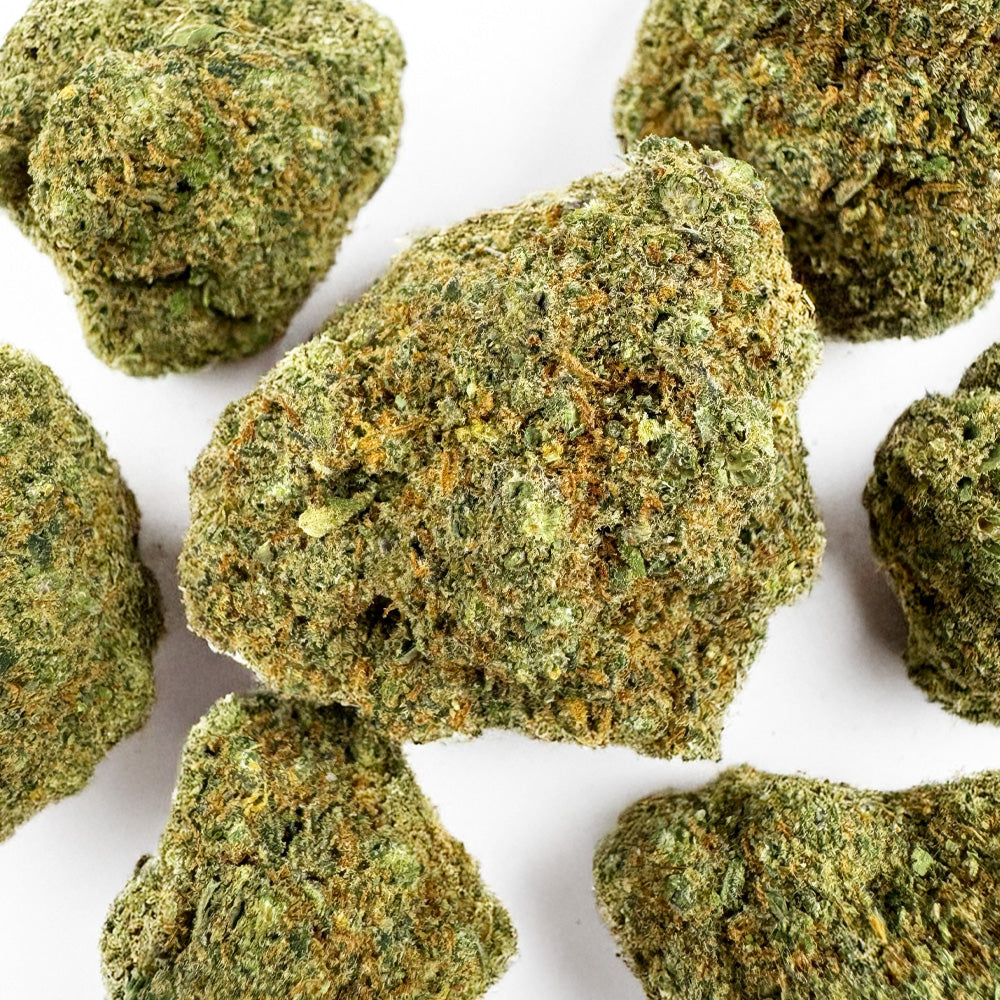 Rainbow X GP3 CBD - Indoor