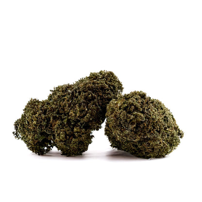 Royal OG - Hybride USA