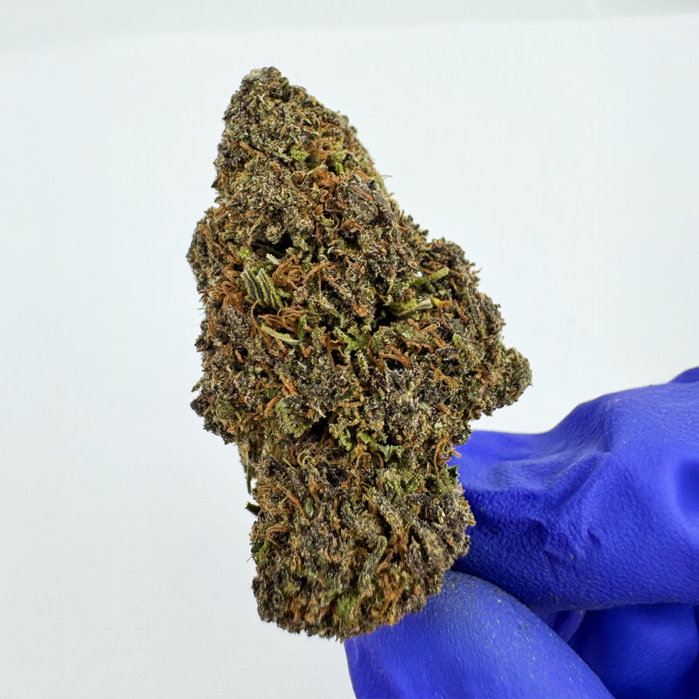 Sapphire Kush - Hybride USA