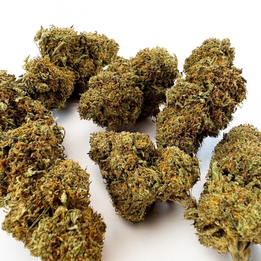 Strawberry - Glasshouse