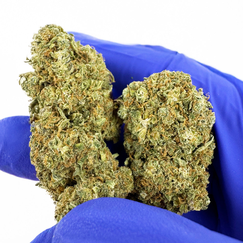 Strawberry Cough CBD - Indoor