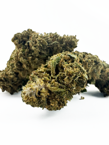 Super Skunk - Greenhouse — photo 2