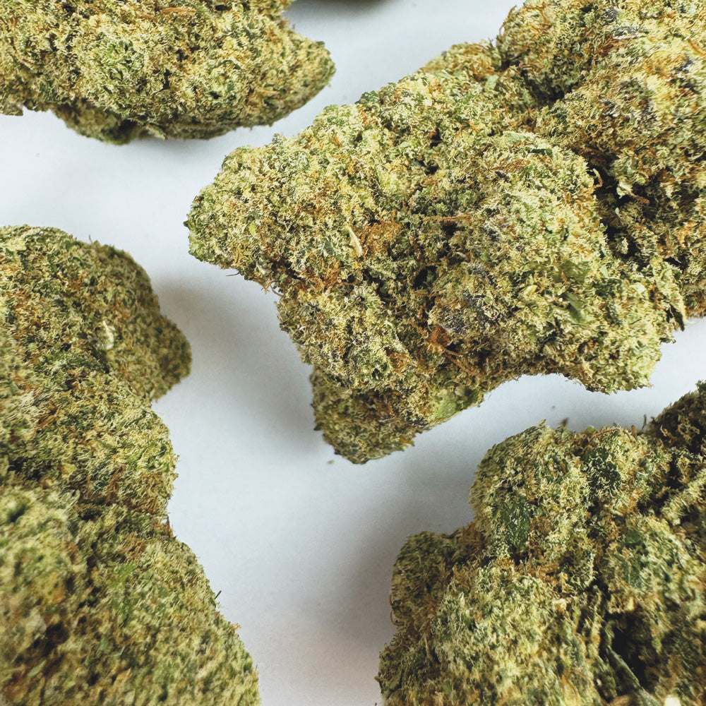 Watermelon CBD - Hydroponique Cali