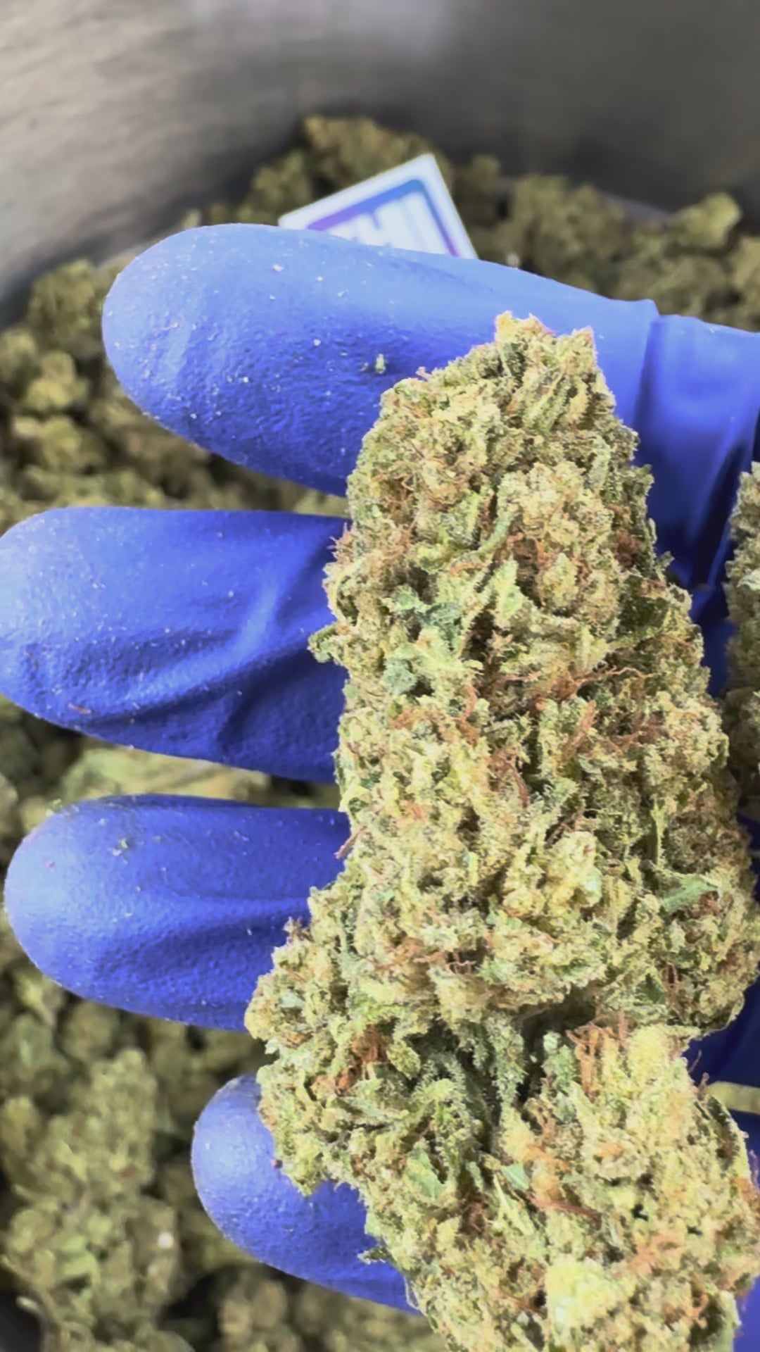 Charger la vidéo: Vidéo de présentation du Ice-O-Lator 40% CBD