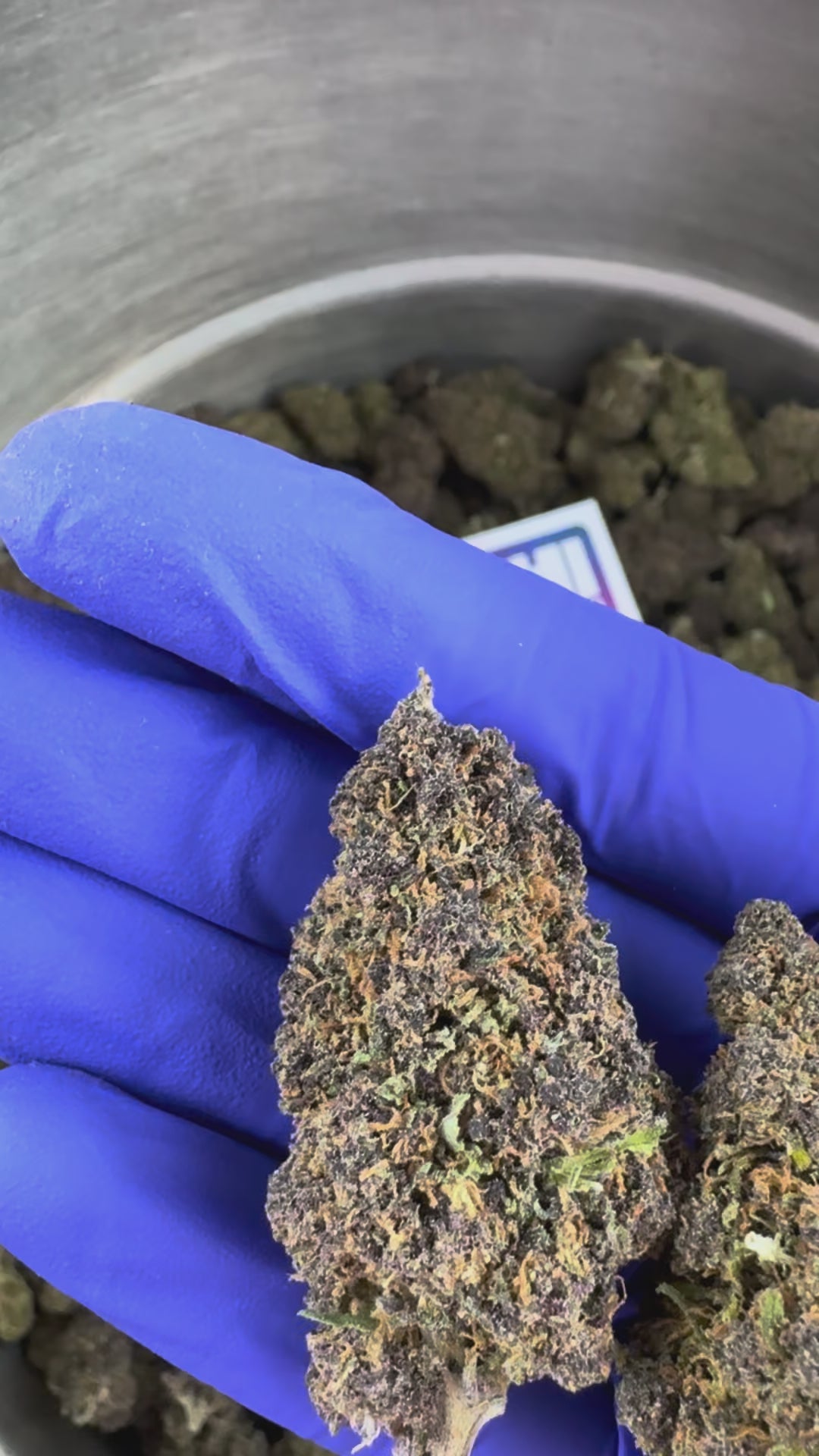 Charger la vidéo: Vidéo de présentation du Ice-O-Lator 40% CBD