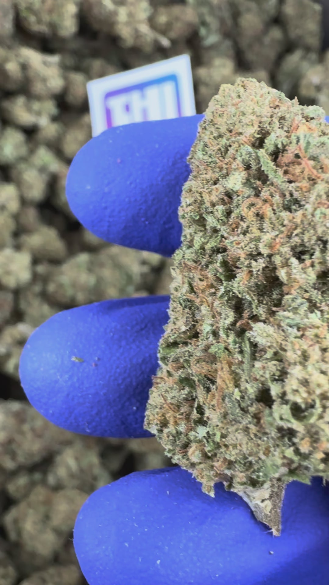 Charger la vidéo: Vidéo de présentation du Ice-O-Lator 40% CBD