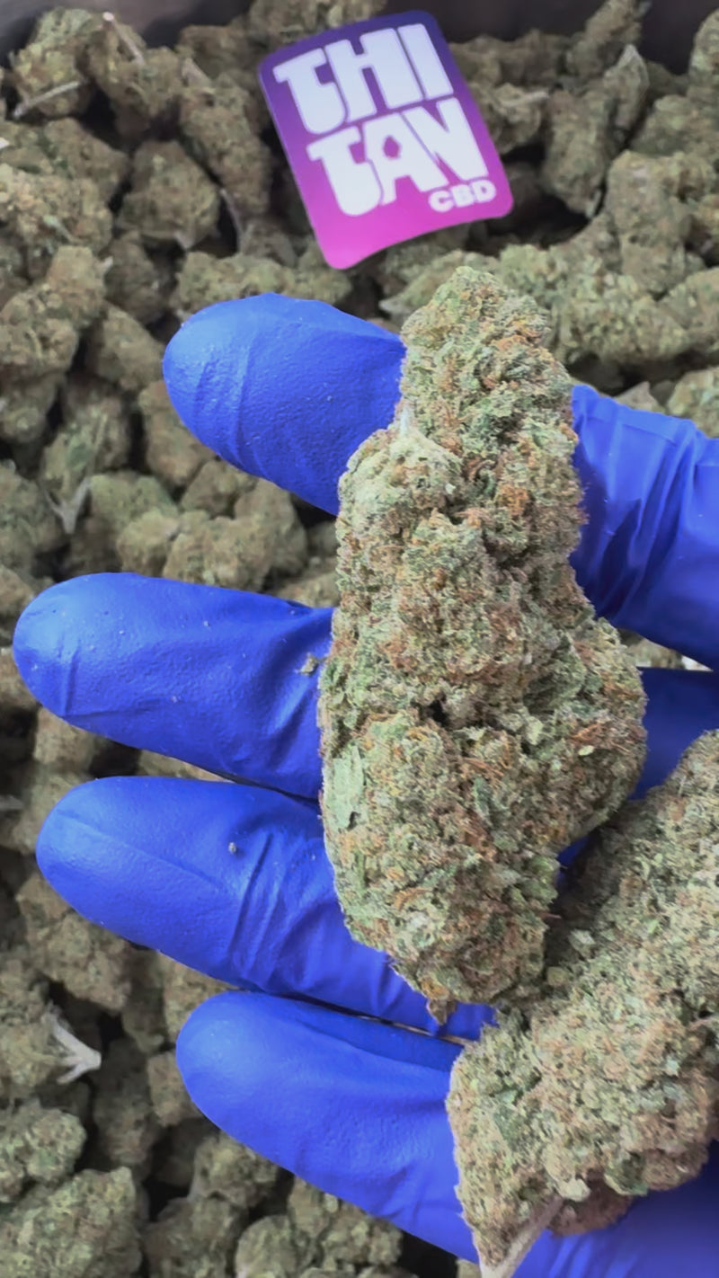 Gold Bar Kush - Indoor — vidéo de présentation