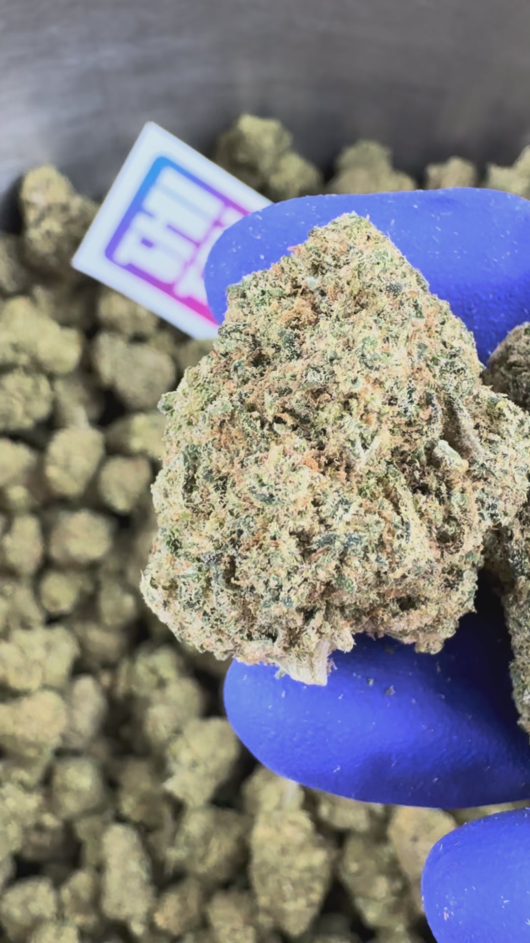 Charger la vidéo: Vidéo de présentation de la Ice Cream Cake CBD Indoor